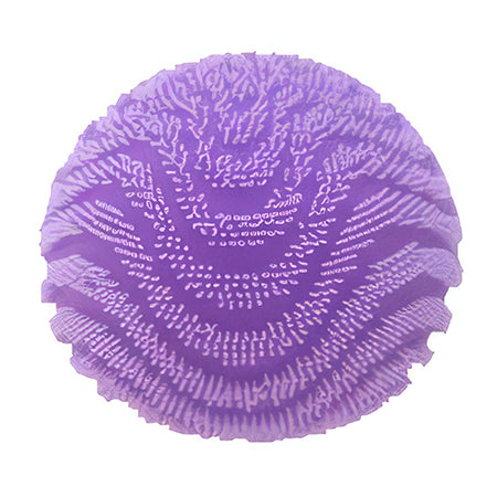 NeeDoh - Fuzz Ball Wonder Waves